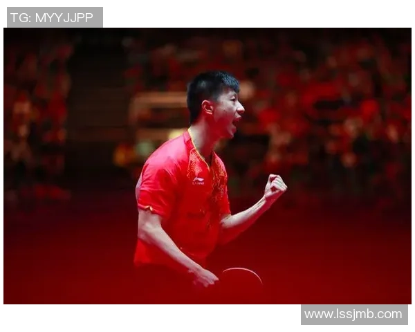 杨敏专访：探寻乒乓球背后的成功秘诀与成长之路