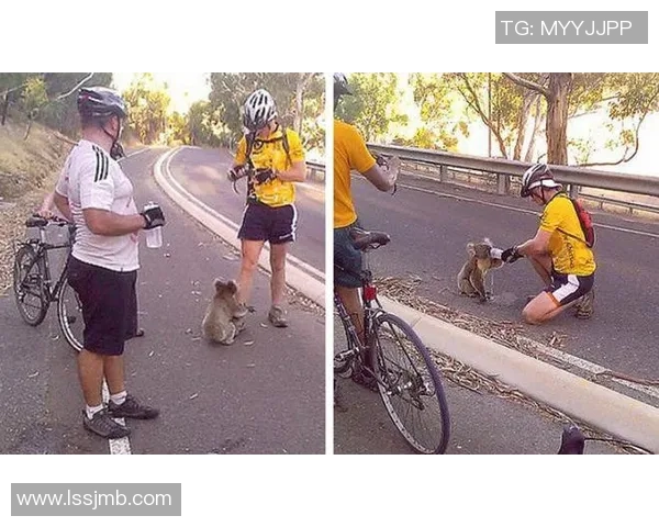 足球明星温暖心灵瞬间与粉丝互动展现真诚情感的感人时刻 足球明星温暖心灵瞬间与粉丝互动展现真诚情感的感人时刻