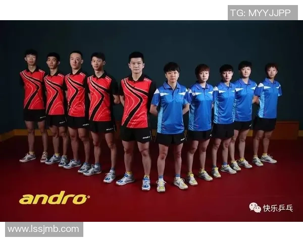 武汉乒乓球队与北京乒乓球队耐力较量赛后深度分析与总结