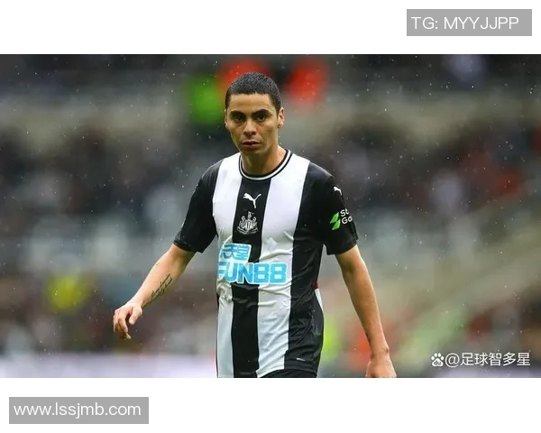 绿茵场上的传奇人物揭晓足球明星背后的故事与成就分析 绿茵场上的传奇人物揭晓足球明星背后的故事与成就分析