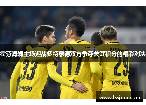 霍芬海姆主场迎战多特蒙德双方争夺关键积分的精彩对决